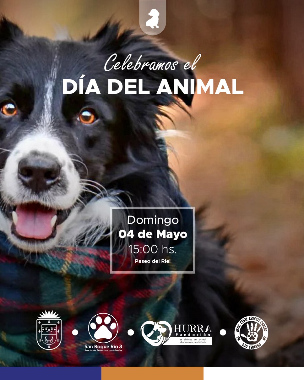 Festejo por el Día del Animal: concientización y actividades en el Paseo del Riel este domingo