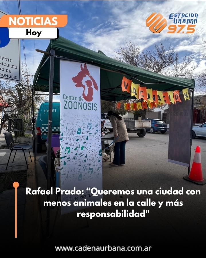 Rafael Prado: Queremos una ciudad con menos animales en la calle y m&aacute;s responsabilidad