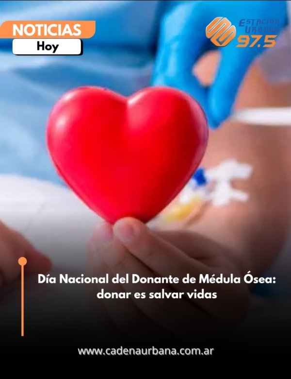 D&iacute;a Nacional del Donante de M&eacute;dula &Oacute;sea: donar es salvar vidas