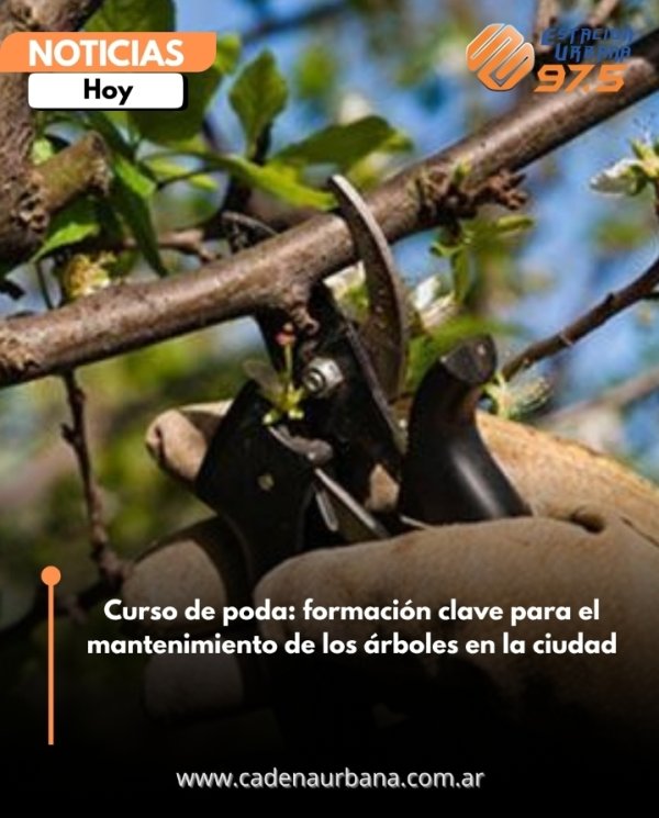 Curso de poda: formaci&oacute;n clave para el mantenimiento de los &aacute;rboles en la ciudad