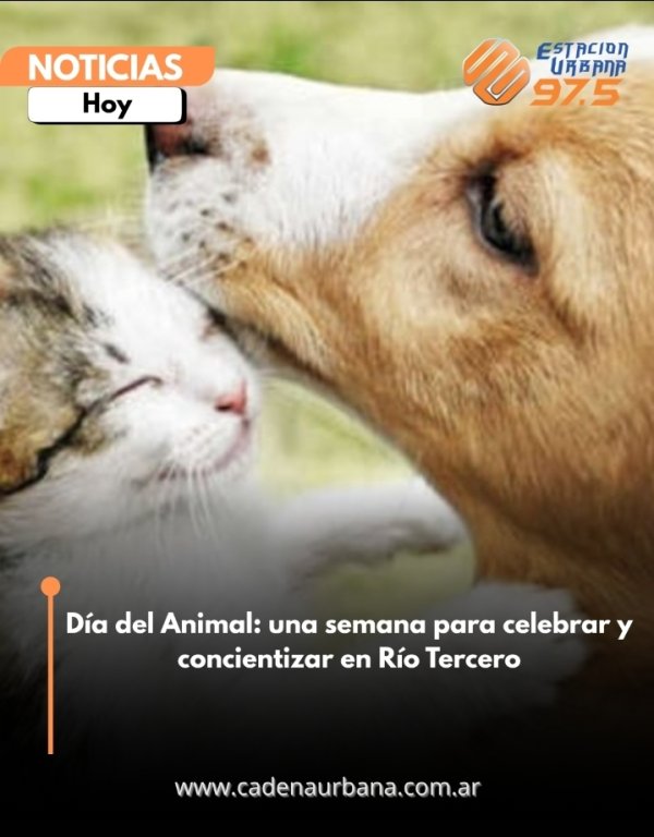D&iacute;a del Animal: una semana para celebrar y concientizar en R&iacute;o Tercero