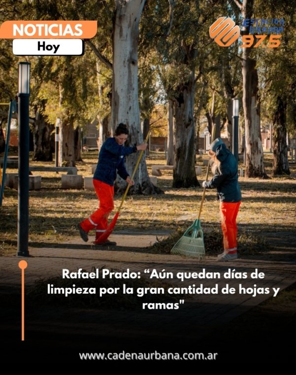 Rafael Prado: A&uacute;n quedan d&iacute;as de limpieza por la gran cantidad de hojas y ramas