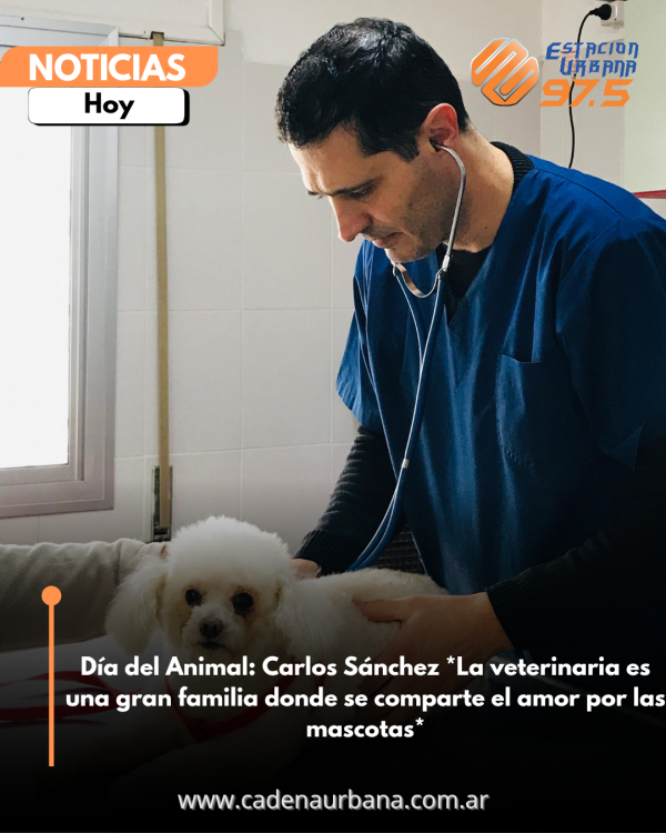 D&iacute;a del Animal: Carlos S&aacute;nchez *La veterinaria es una gran familia donde se comparte el amor por las mascotas*