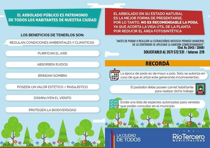 H&eacute;rnan Fuensalidas " La poda es una acci&oacute;n perjudicial para el &aacute;rbol"