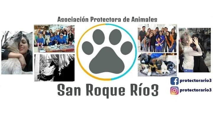 La Protectora de animales est&aacute; pasando una dif&iacute;cil situaci&oacute;n y se le est&aacute; siendo dif&iacute;ciles sostener el refugi&oacute; 