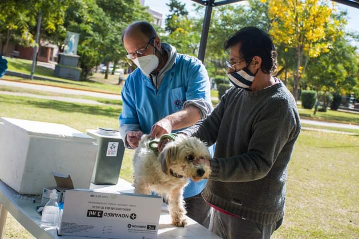 SE COLOCARON MÁS DE 2500 VACUNAS PARA LA RABIA