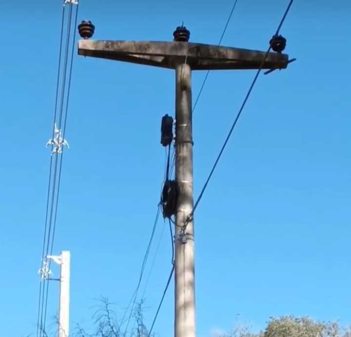 LA COOPERATIVA LOCAL HIZO EL REEMPLAZO DE UN SECTOR DE LA RED DE ALTA TENSIÓN CON CABLES PROTEGIDOS.