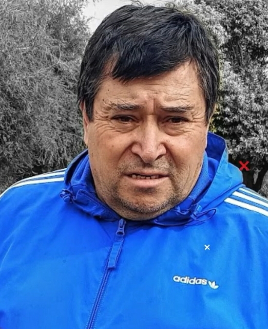 Julio Verdú: el club decidirá está noche qué medidas tomar contra las madres que insultaron a Chizo