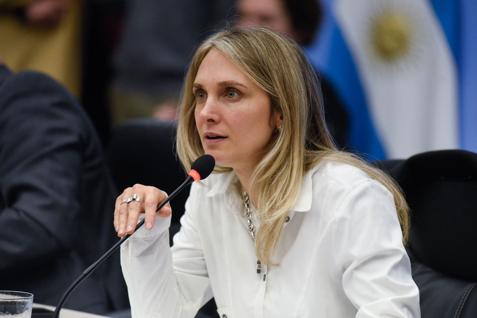 Gabriela Brouwer de Koning: el dictamen de la UCR se diferencia del resto para la movilidad jubilatoria