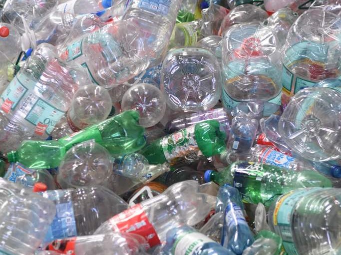 Ángel Berrino: los cestos para botellas son propiedad de la Municipalidad