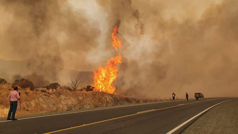 Roberto Schreiner: estamos en alerta para evitar una emergencia ambiental