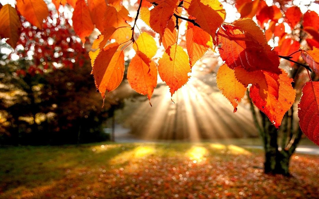 Semana cálida en pleno otoño: temperaturas por encima de lo normal y algunas lluvias dispersas
