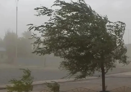 Se viene el frío: desde este martes llega una ola polar a Córdoba