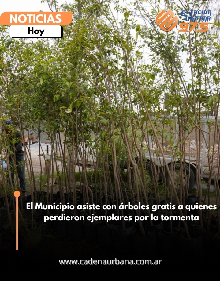El Municipio asiste con &aacute;rboles gratis a quienes perdieron ejemplares por la tormenta 