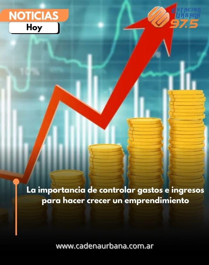 La importancia de controlar gastos e ingresos para hacer crecer un emprendimiento
