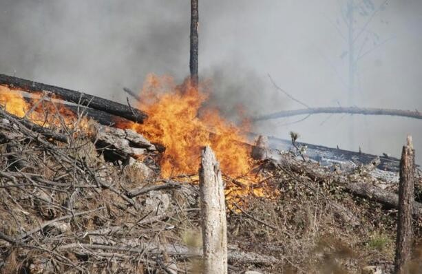El &iacute;ndice de peligro de incendios forestales es MUY ALTO