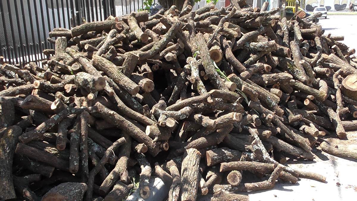 CONCEJALES DEL FRENTE TODOS PROPUSIERON CREAR EL DEPÓSITO MUNICIPAL DE LEÑA Y RESTOS DE PODA