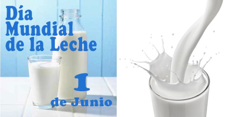 DÍA MUNDIAL DE LA LECHE: LA IMPORTANCIA DE SU CONSUMO