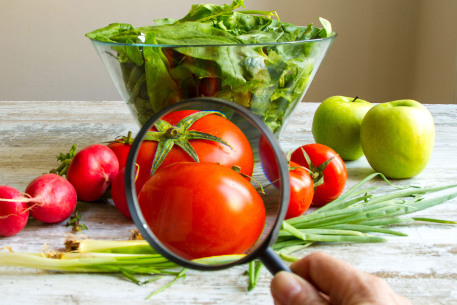 DÍA MUNDIAL DE LA INOCUIDAD DE LOS ALIMENTOS