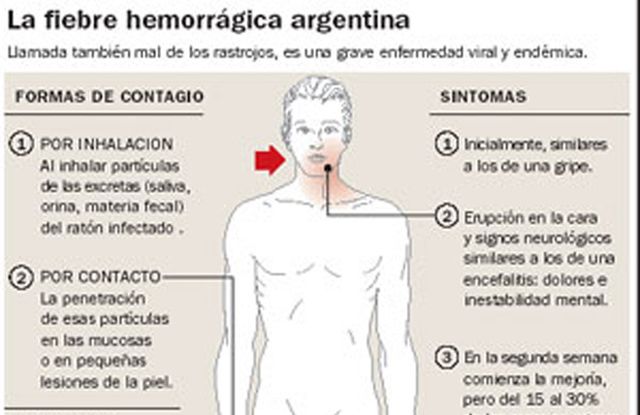 LA DOCTORA SANTI NOS HABLÓ DE LA FIEBRE HEMORRÁGICA ARGENTINA
