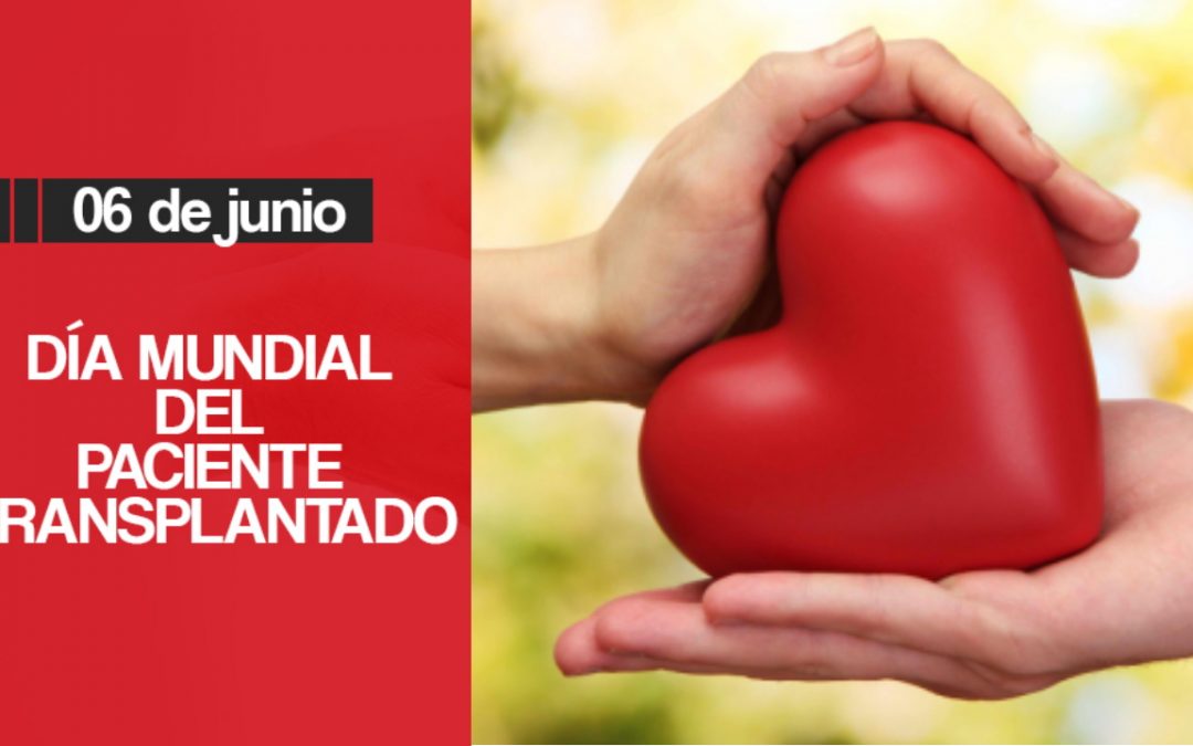 NOTICIAS + IVA: LORENA LLEVA CASI 4 AÑOS TRASPLANTADA DEL CORAZÓN 
