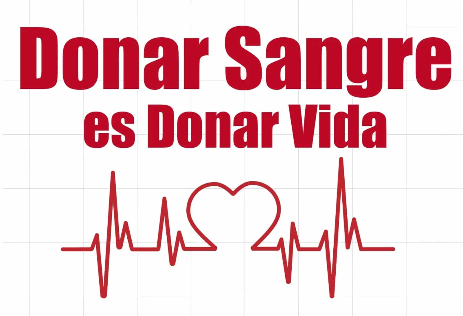 14 DE JUNIO: DÍA DEL DONANTE DE SANGRE 