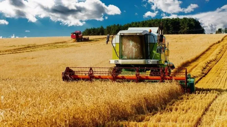 Preocupación en el campo ante el posible regreso de las retenciones