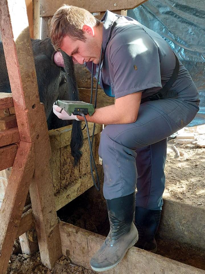 DÍA MUNDIAL DE LAS ZOONOSIS