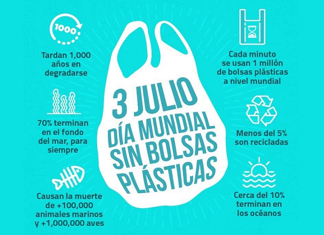Angel Berrino: el plástico ya está provocando contaminación orgánica