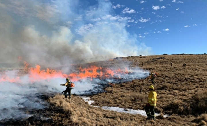 Roberto Schreiner: hoy habrá más de 300 bomberos y brigadistas combatiendo el fuego