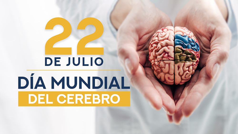 Ivana Guglielmone: el cerebro está interconectado con todo