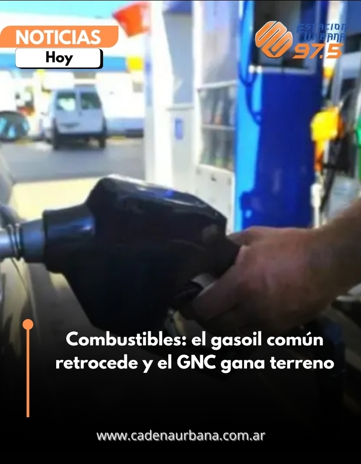 Combustibles: el gasoil com&uacute;n retrocede y el GNC gana terreno