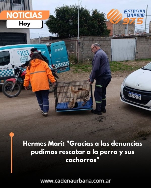 Hermes Mari: La denuncia de un vecino permiti&oacute; rescatar a una perra y sus cachorros