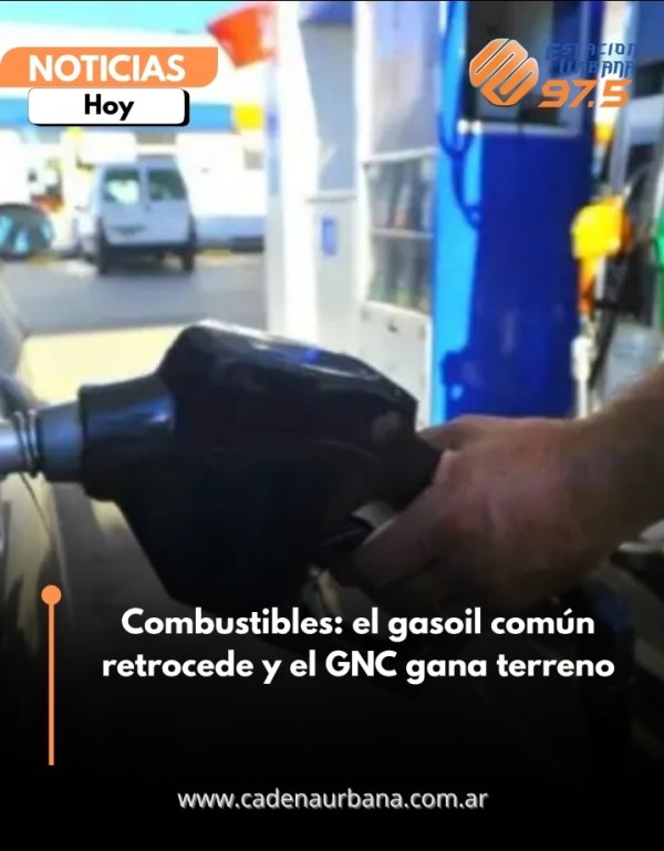 Combustibles: el gasoil com&uacute;n retrocede y el GNC gana terreno