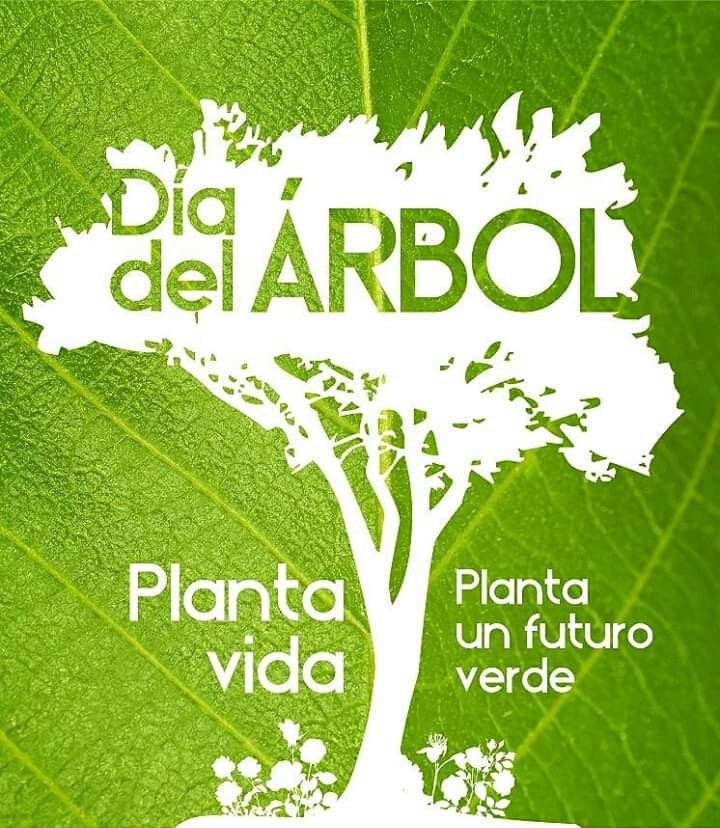 Soledad Maratin " La idea fue trabajar con los chicos y plantar &aacute;rboles en distintos lugares de la ciudad"