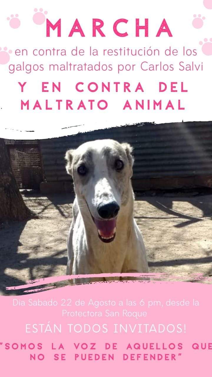 Alicia Carlisi (Protectora de Animales) 