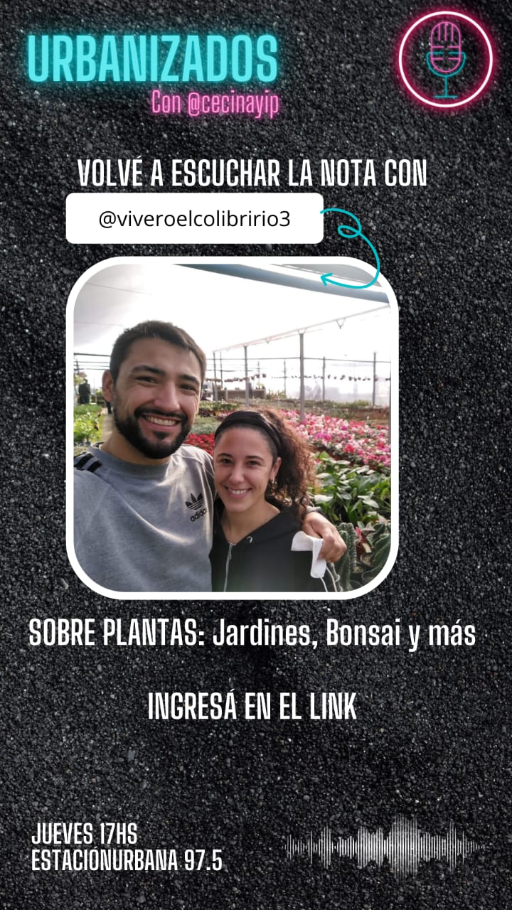 URBANIZADOS ENTREVISTA SOBRE PLANTAS : JARDINES, BONSAI Y MÁS 