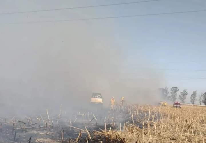 CASI 70 BOMBEROS TRABAJARON PARA COMBATIR EL FUEGO QUE CRUZÓ LA AUTOVÍA
