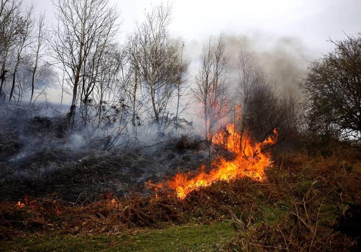 EN EL DÍA POR LA PREVENCIÓN DE LOS INCENDIOS FORESTALES HABLAMOS CON DIEGO DELMASTRO