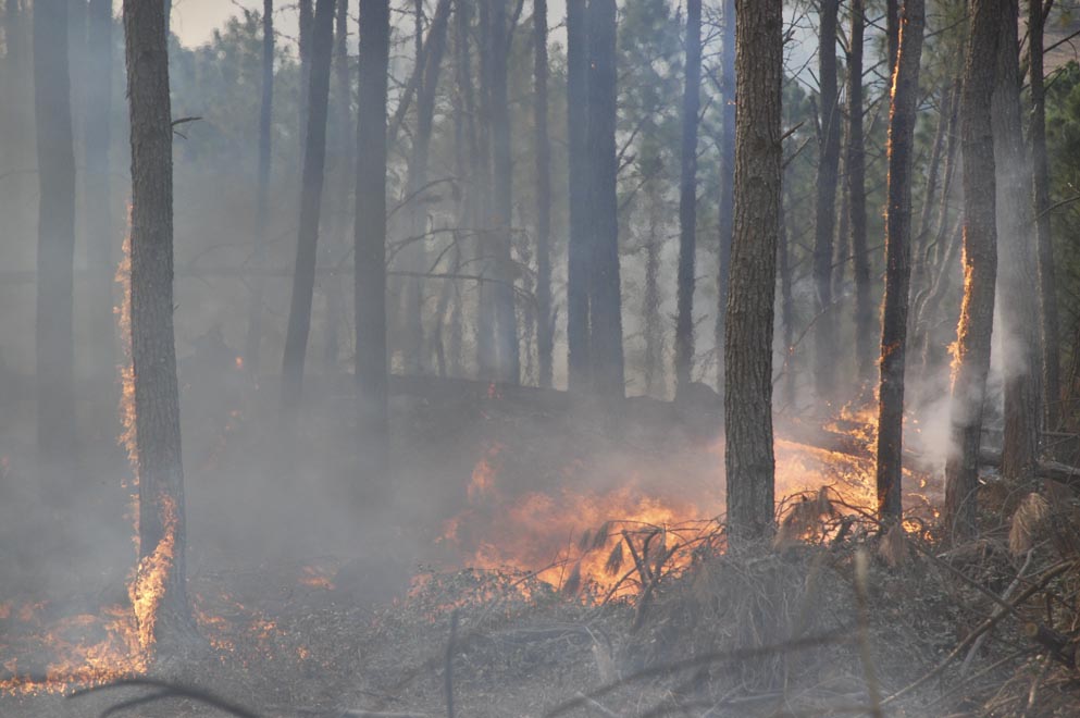 LA PROVINCIA ENVÍA AYUDA PARA ASISTIR A LOS DAMNIFICADOS POR LOS INCENDIOS EN YACANTO 