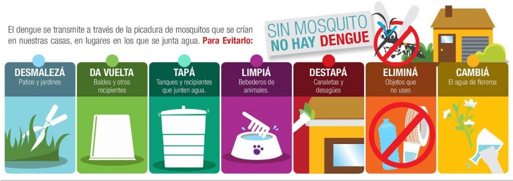 DÍA INTERNACIONAL CONTRA EL DENGUE: LA IMPORTANCIA DE LA PREVENCIÓN