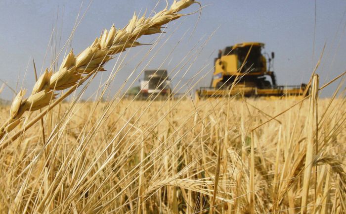 MATÍAS PISTELLI: LAS MEDIDAS ANUNCIADAS NO MEJORARÁN LA SITUACIÓN DEL CAMPO