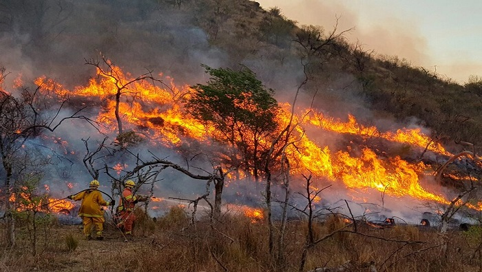 Abel Domínguez brindó el informe del fin de semana y habló del Día Mundial de Prevención de Incendios Forestales