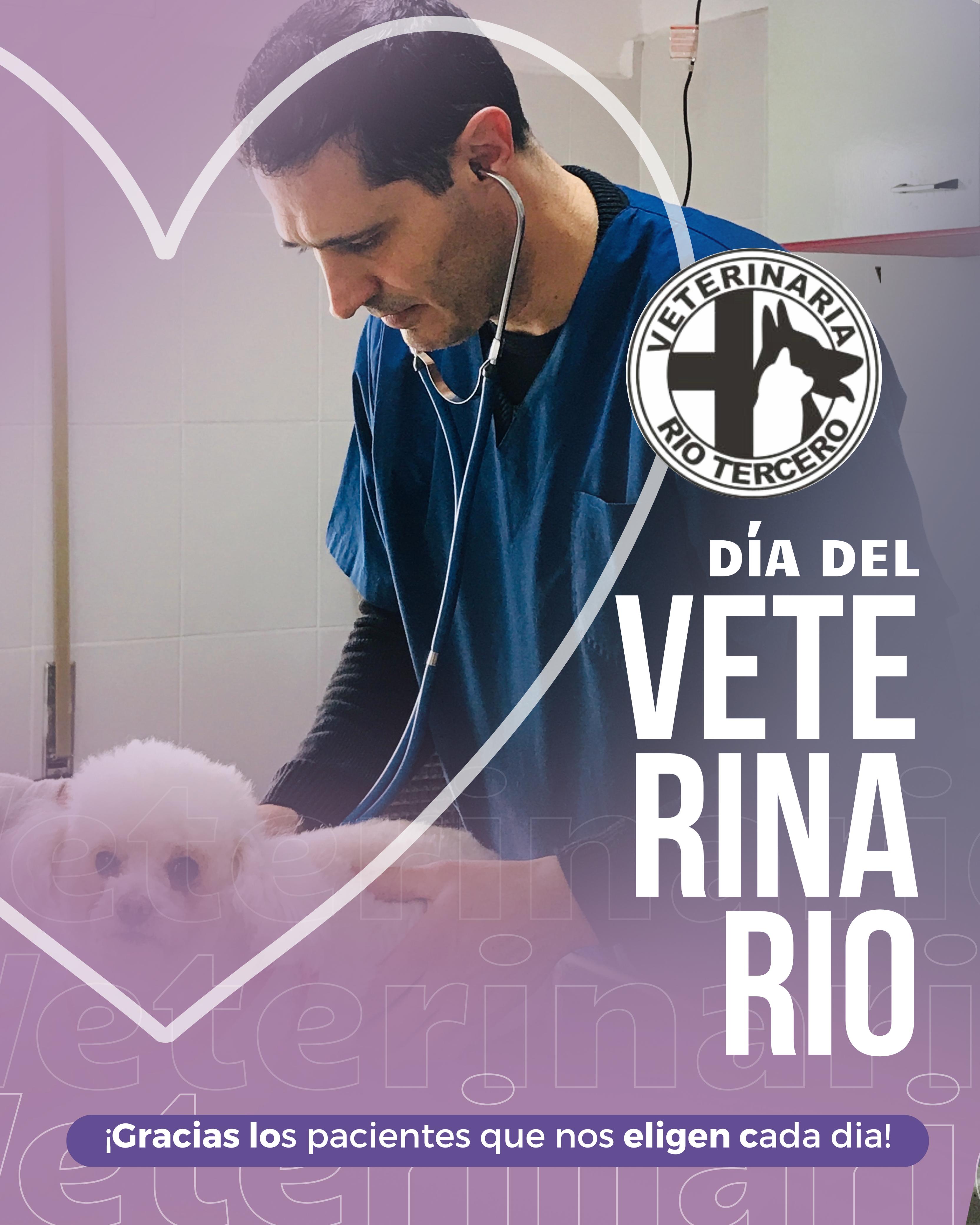 Carlos Sánchez: Ser veterinario es hermoso, pero no todo es fácil