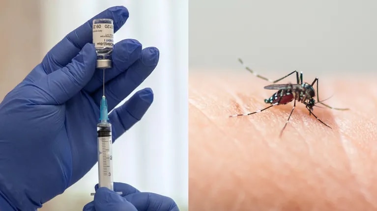Dengue: La Provincia lanzó el Plan Estratégico de Abordaje Integral y Vacunación para la temporada 25/26