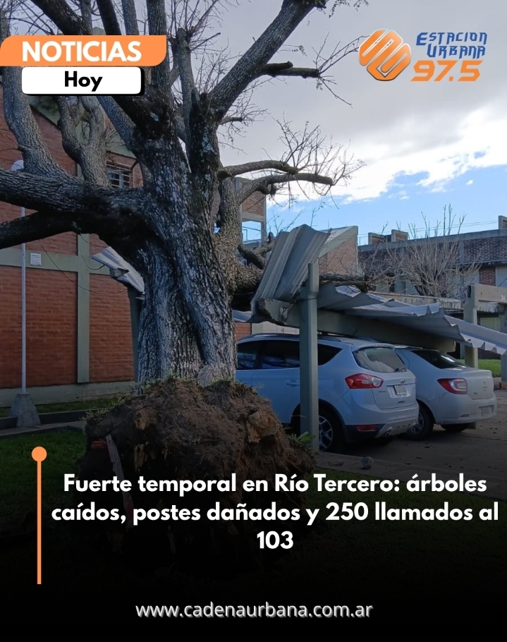Fuerte temporal en R&iacute;o Tercero: &aacute;rboles ca&iacute;dos, postes da&ntilde;ados y 250 llamados al 103