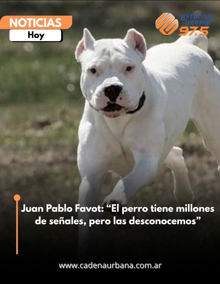 Juan Pablo Favot: El perro tiene millones de se&ntilde;ales, pero las desconocemos