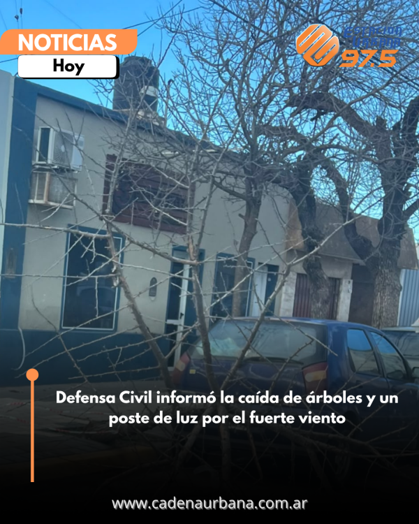 R&aacute;fagas de hasta 80 km/h: Defensa Civil report&oacute; cinco &aacute;rboles ca&iacute;dos y un poste derribado