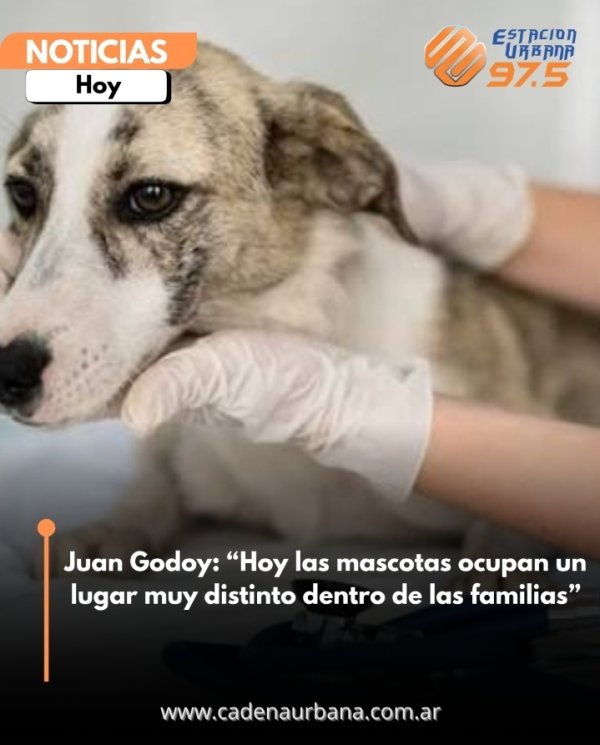 Juan Godoy: Hoy las mascotas ocupan un lugar muy distinto dentro de las familias