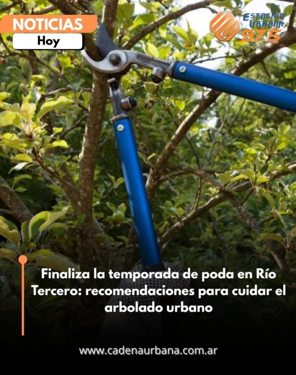 Finaliza la temporada de poda en R&iacute;o Tercero: recomendaciones para cuidar el arbolado urbano